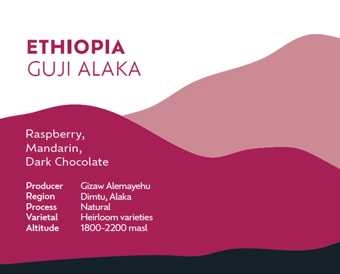 Ethiopia Guji Alaka - Espresso Roast