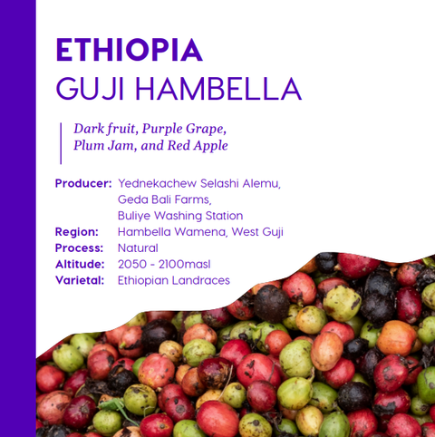 Ethiopia Guji Hambella - Espresso Roast