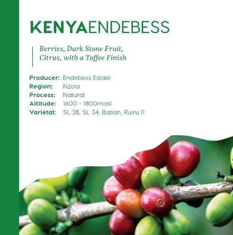 Kenya Endebess - Filter Roast
