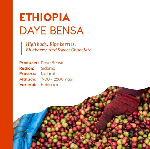Ethiopia Daye Bensa - Espresso Roast