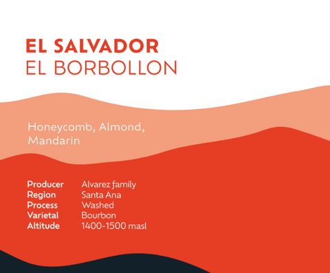 El Salvador El Borbollon - Espresso Roast
