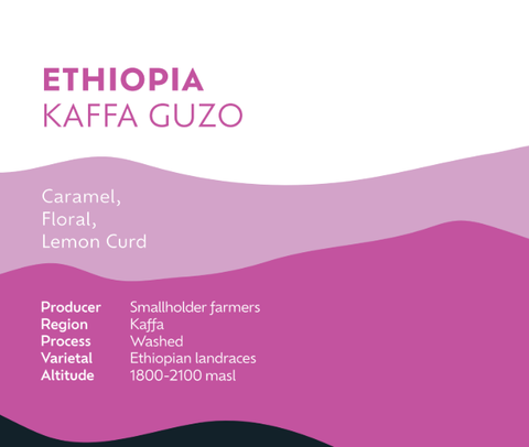 Ethiopia Kaffa Guzo - Espresso Roast