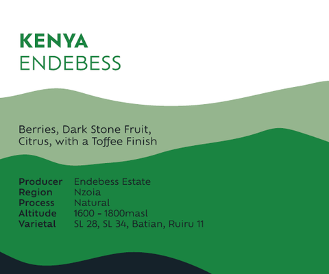 Kenya Endebess - Filter Roast