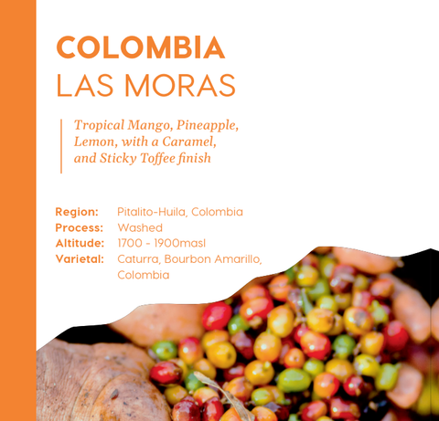 Colombia Las Moras - Filter Roast