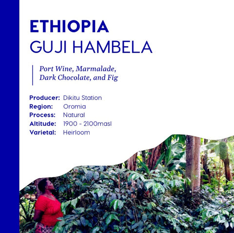 Ethiopia Guji Hambela - Filter Roast