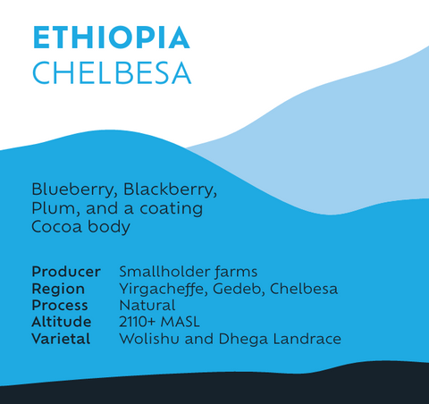 Ethiopia Chelbesa - Filter Roast