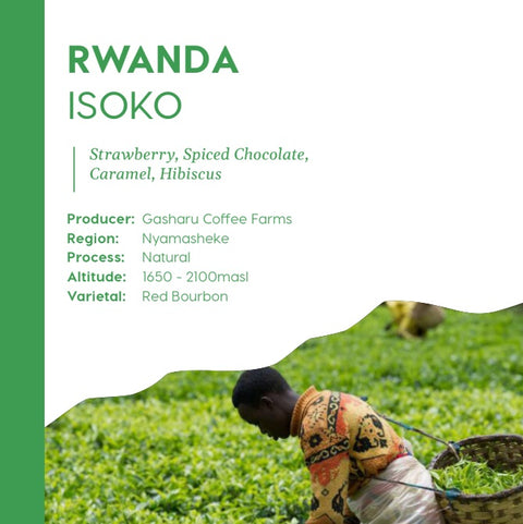 Rwanda Isoko - Espresso Roast